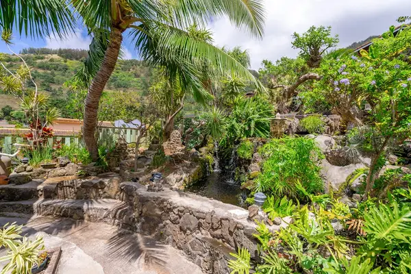 Garden area filled with tropical plants and shade