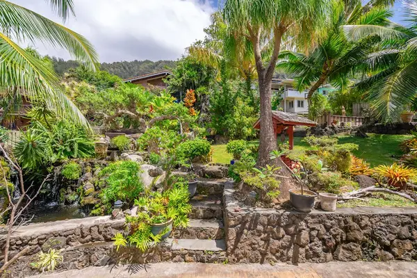 Tropical landscaping surrounding the property exterior