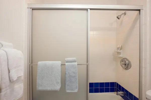 Master bathroom with walk-in shower.