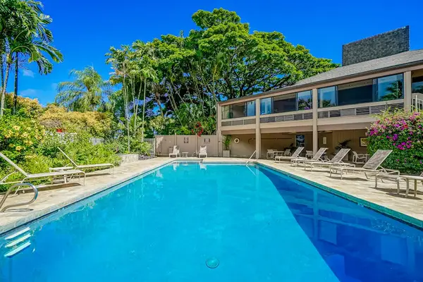 Sparkling Swimming Pool framed by Tropical Trees and Comfortable Lououngers