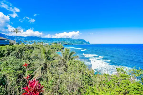 Breathtaking Panoramic Ocean and Coastal Mountain Views framed by Lush Tropical Foliage
