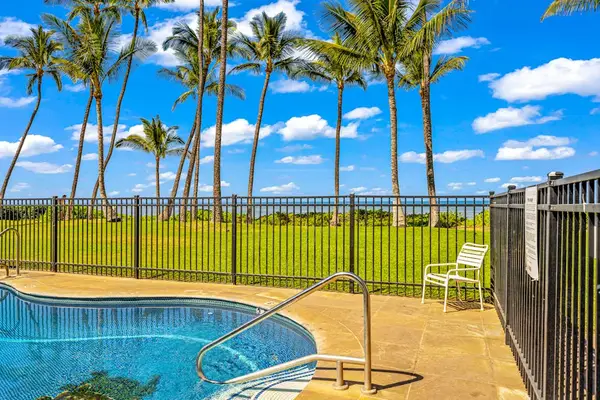 Poolside Paradise Beneath The Palms