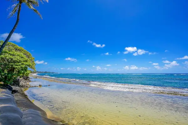Relax in the bright living room with beautiful ocean views