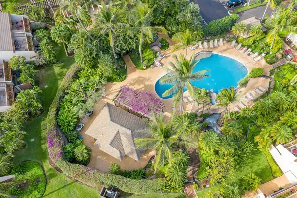 Aerial pool view reveals pathways vibrant greenery and sparkling water