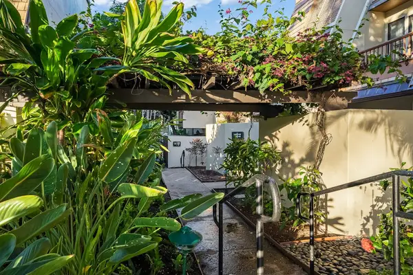 Tropical walkway winds through lush gardens toward inviting island amenities