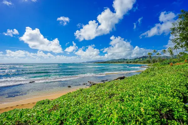 Enjoy peaceful mornings with sunshine and ocean air