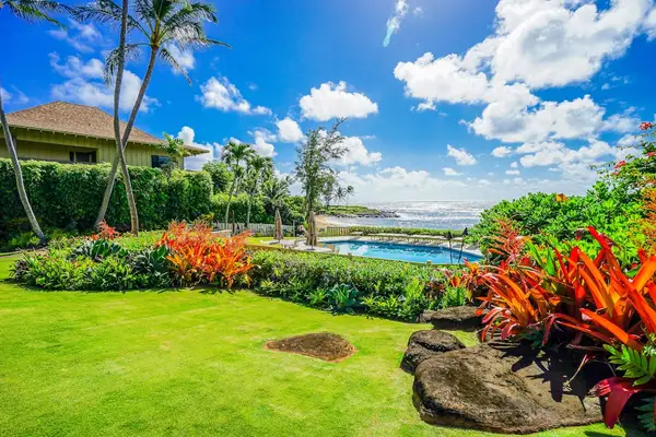 Unwind beneath swaying palms and tropical greenery daily