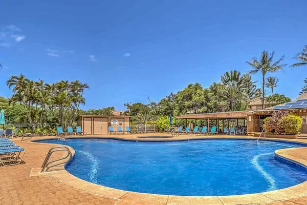Resort pool glistens beneath palm trees beside sunlit deck seating