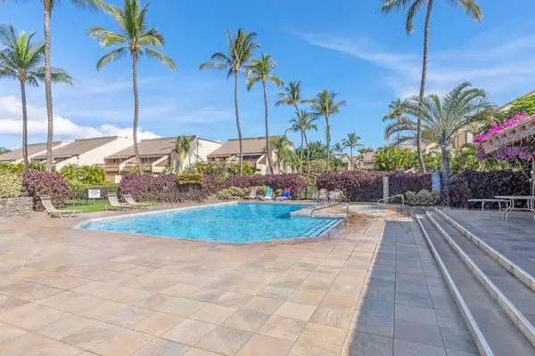 Resort pool sparkles beside palm trees with sunlit deck seating