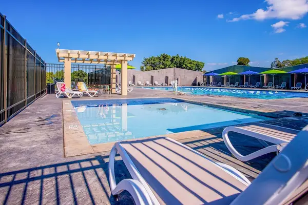 Resort Style Pool Made For Sunny Days