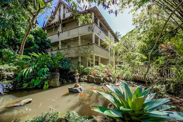 Peaceful Tropical Stream Setting