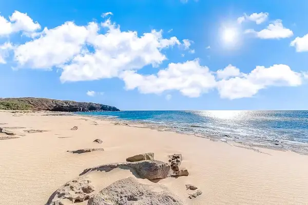 Scenic shoreline invites peaceful walks with breathtaking ocean views and gentle sea breezes