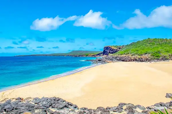 Sandy beach stretches beside clear Pacific water and rugged coastline