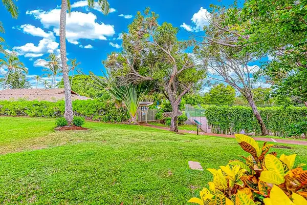 Tropical resort scenery showcases blue ocean views and peaceful surroundings