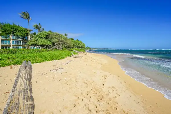 Direct Beach Access & Wide Golden Sand Coastline