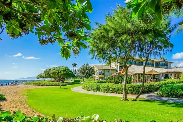 Lush Coastal Lawn & Landscaping with Ocean Views