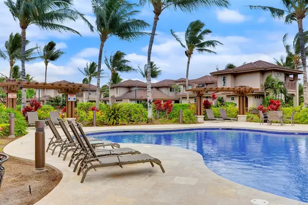 Poolside Sun Loungers under Tropical Palms