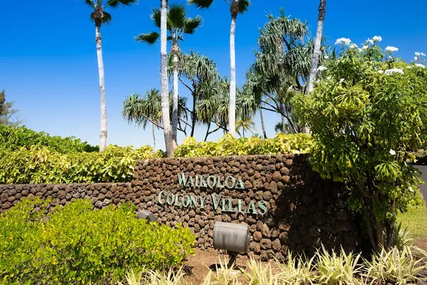 Resort Entrance Sign & Tropical Landscaping