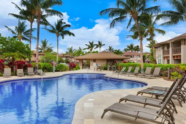 Sun Loungers Beside Resort Freeform Pool