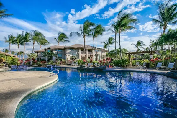 Tropical Resort Pool Surrounded by Soaring Palm Trees