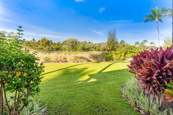 Peaceful tropical lawn surrounded by lush greenery