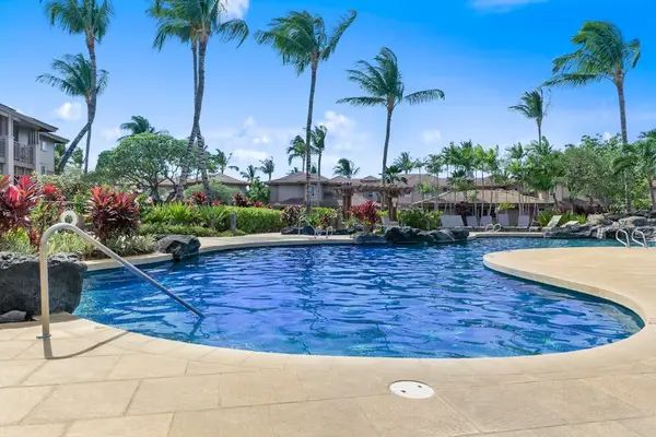 Resort-style pool surrounded by tropical palms