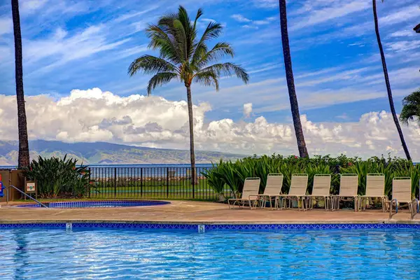 Cool off in the oceanfront pool surrounded by swaying palm trees.