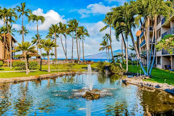 Serene Water Gardens For Peaceful Moments