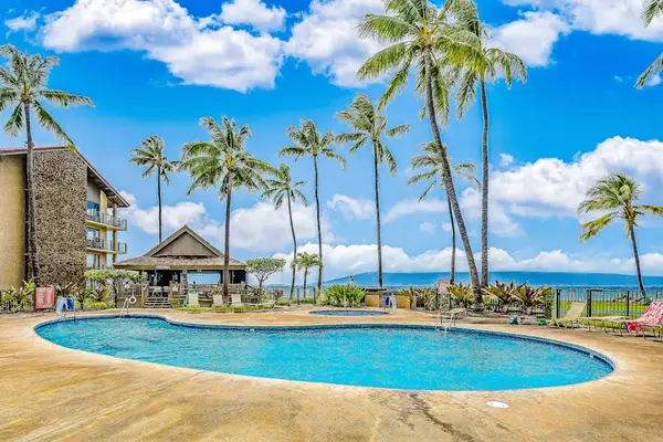 Resort Pool Surrounded By Palms