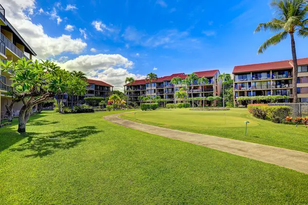 Expansive Tropical Greens For Leisurely Strolls