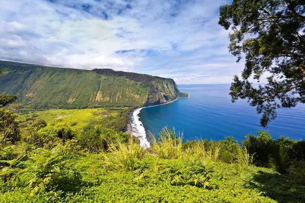 Majestic Coastal Cliffs And Ocean Views