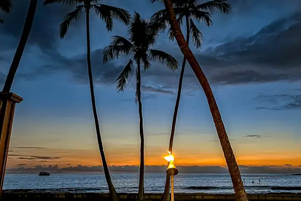 Sunset Magic Beneath Swaying Palms