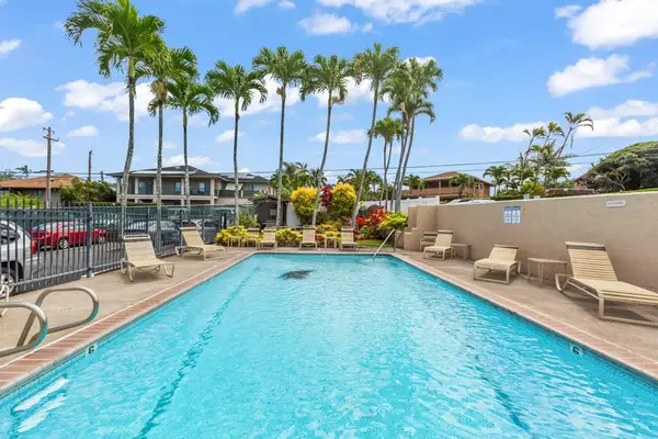 Sparkling pool surrounded by palm trees