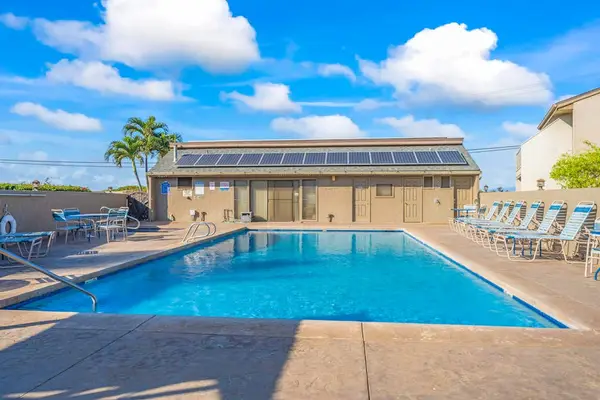 Sparkling Resort Pool Under The Hawaiian Sun