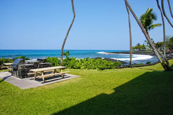 Beautiful oceanfront grassy lawn featuring community picnic tables and tropical palm trees