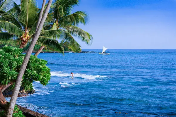 Watch Sailboats Drift Across The Pacific