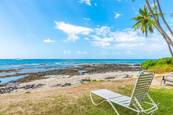 Beautiful oceanfront backyard lawn featuring a lounge chair and tropical palm tree views