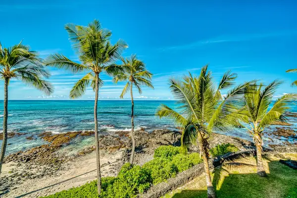 Breathtaking oceanfront lawn lined with swaying palm trees and coastal views