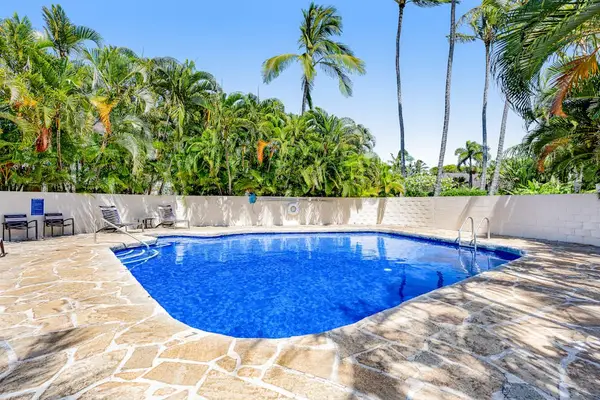 Sunny Pool Surrounded By Tropical Palms