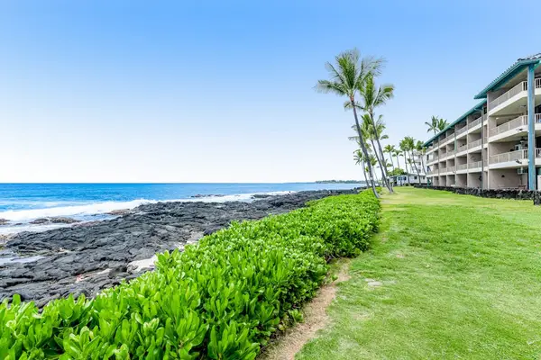 Oceanfront Lawn With Endless Views