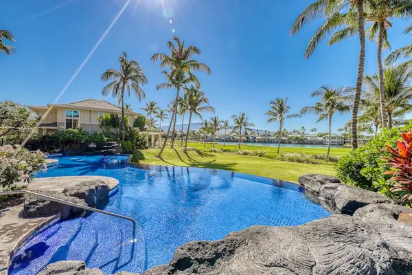 Resort-style pool surrounded by swaying palms