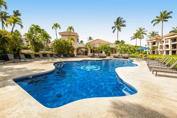 Dive Into Your Tropical Paradise