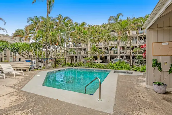 Quiet Pool Escape In Paradise