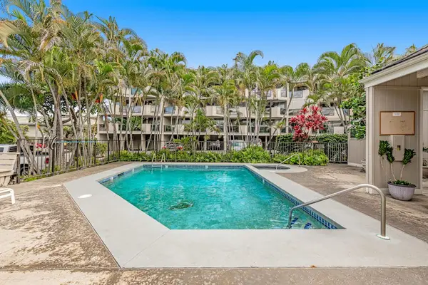 Sparkling Pool Surrounded By Palms