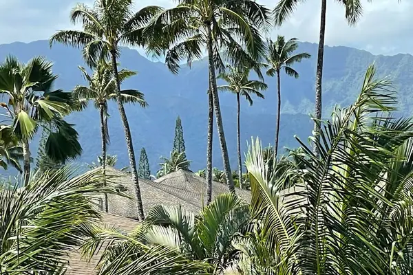 Swaying palm trees with views of mountains peaking though.