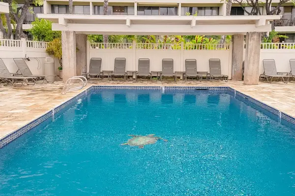Resort Pool Perfect For Sunny Days
