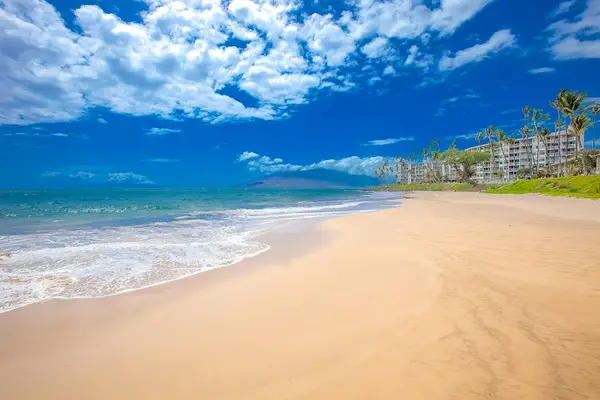 Endless Beach Days Await You