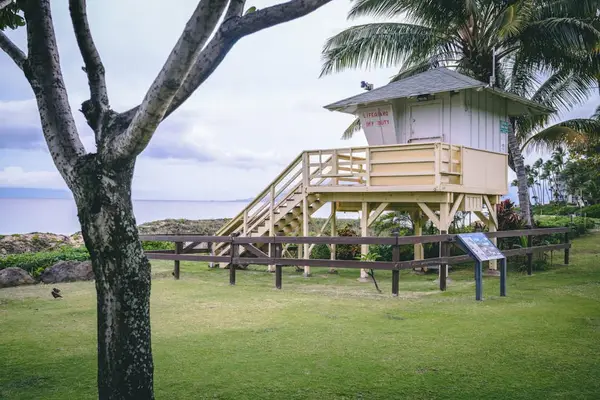 Iconic Lifeguard Tower Near The Beach
