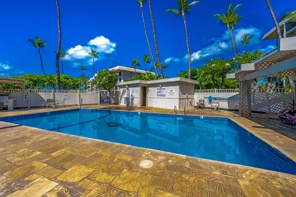 Cool Off In The Tropical Pool