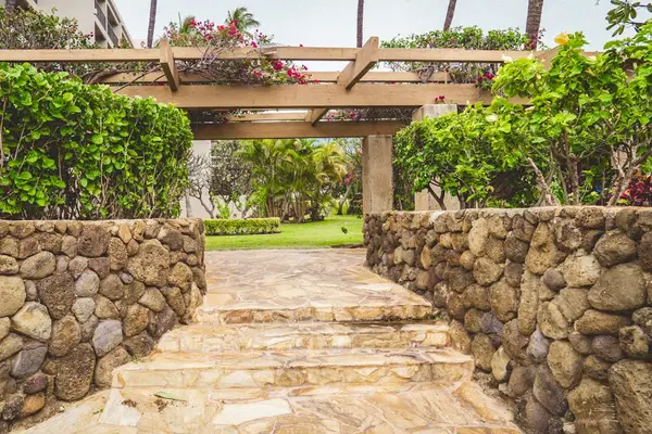 Charming Courtyard With Tropical Pathways